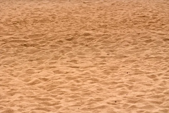 BigWins Casino Support